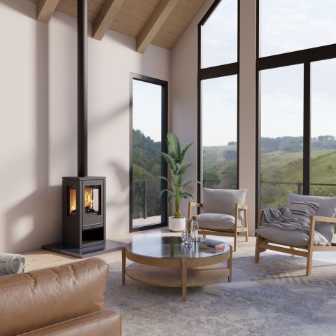 Xenos Woodburning Stove